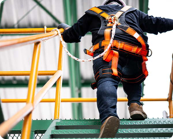 Fall Prevention Training Courses and Consulting Services