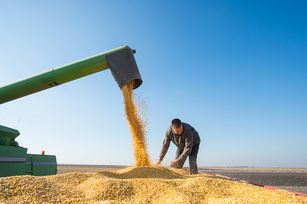 Hazards in Agriculture
