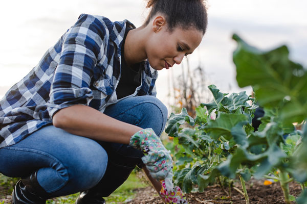 DIY Gardening and Yard Work Gloves