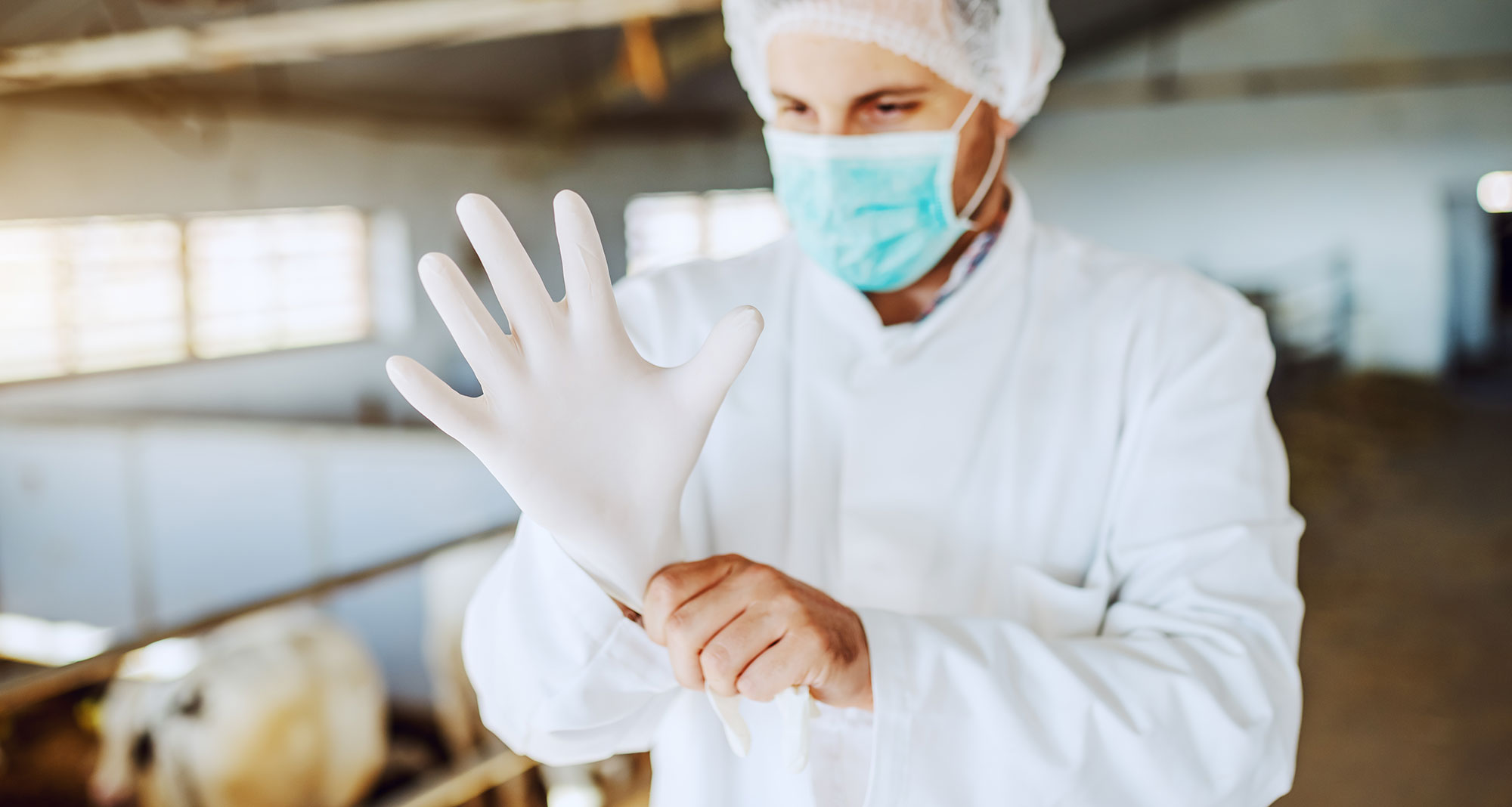 Agriculture PPE