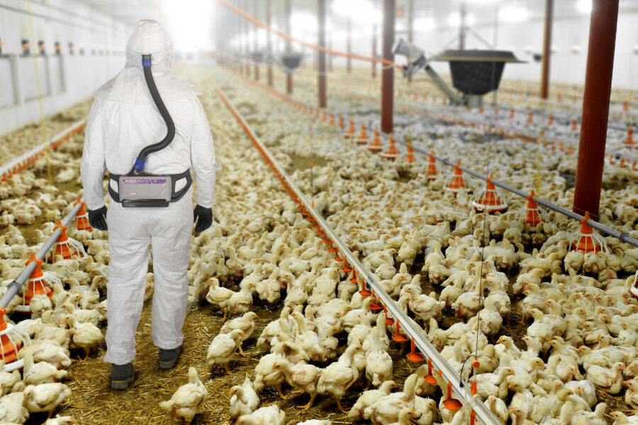 Contaminant Protection PPE