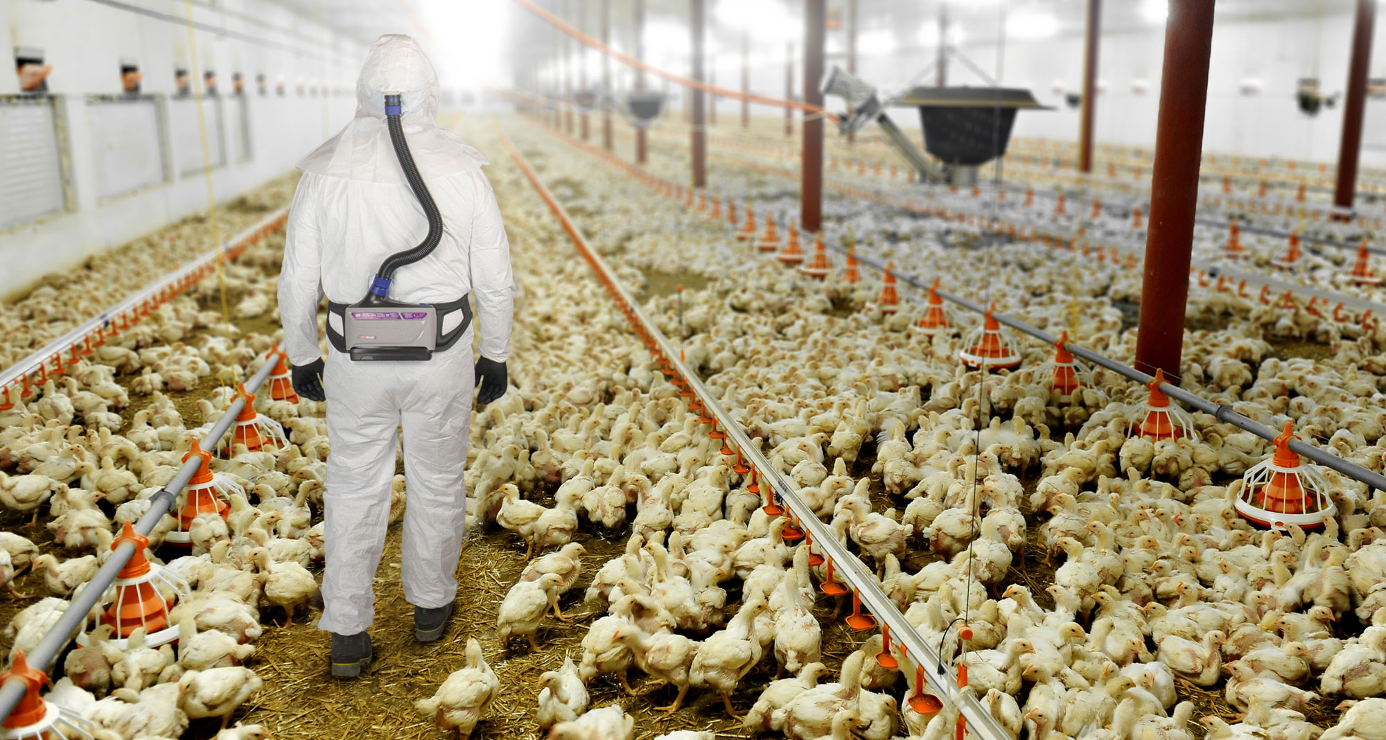 Contaminant Protection PPE