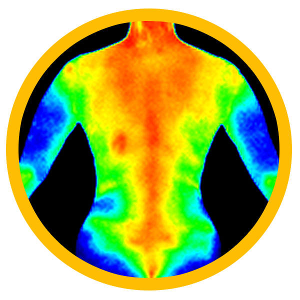 Cold stress body temperature regulation