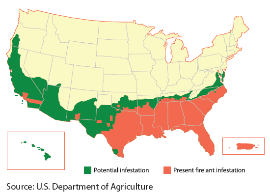 fire ant map