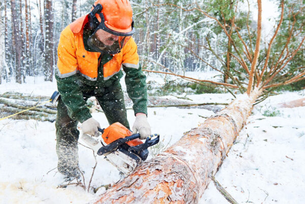 Preventing Cold Stress