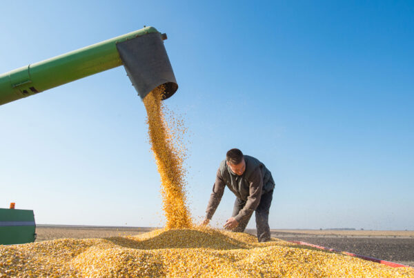 Hazards in Agriculture