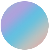 Mirror Lens