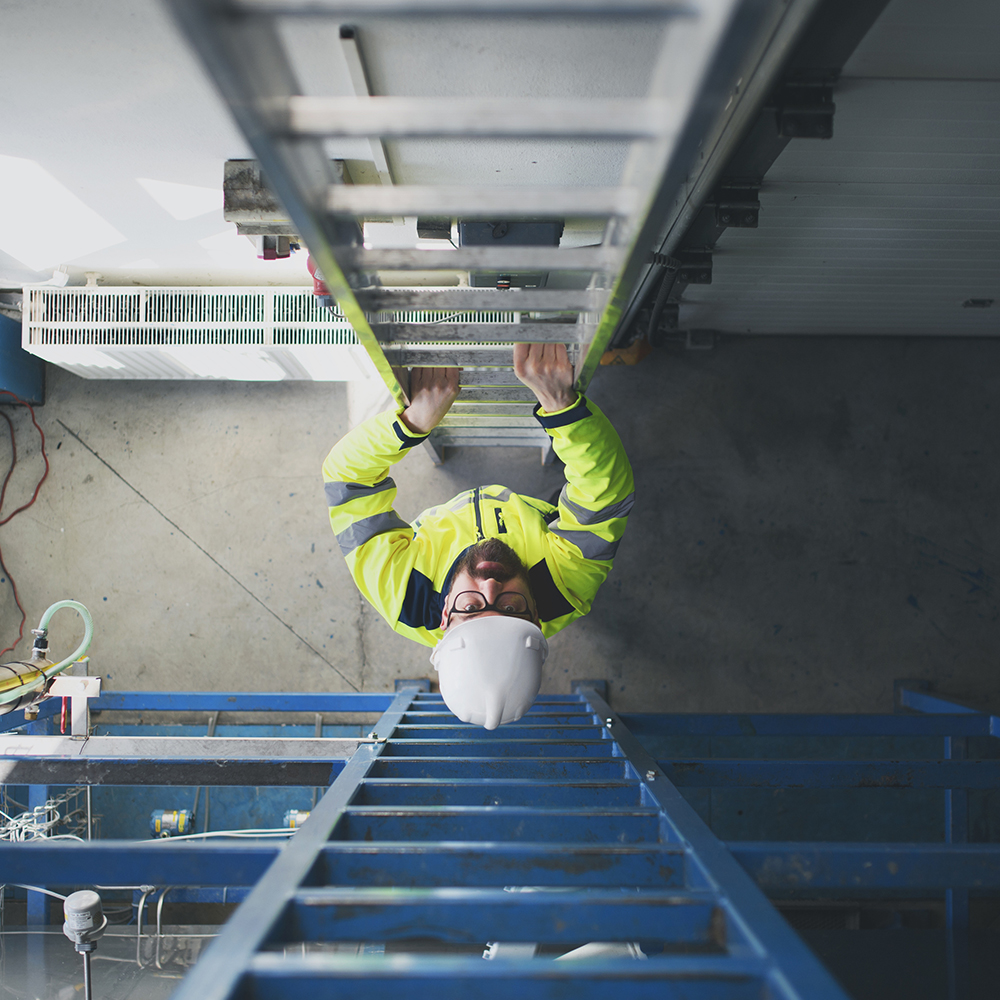 Safety Assessment